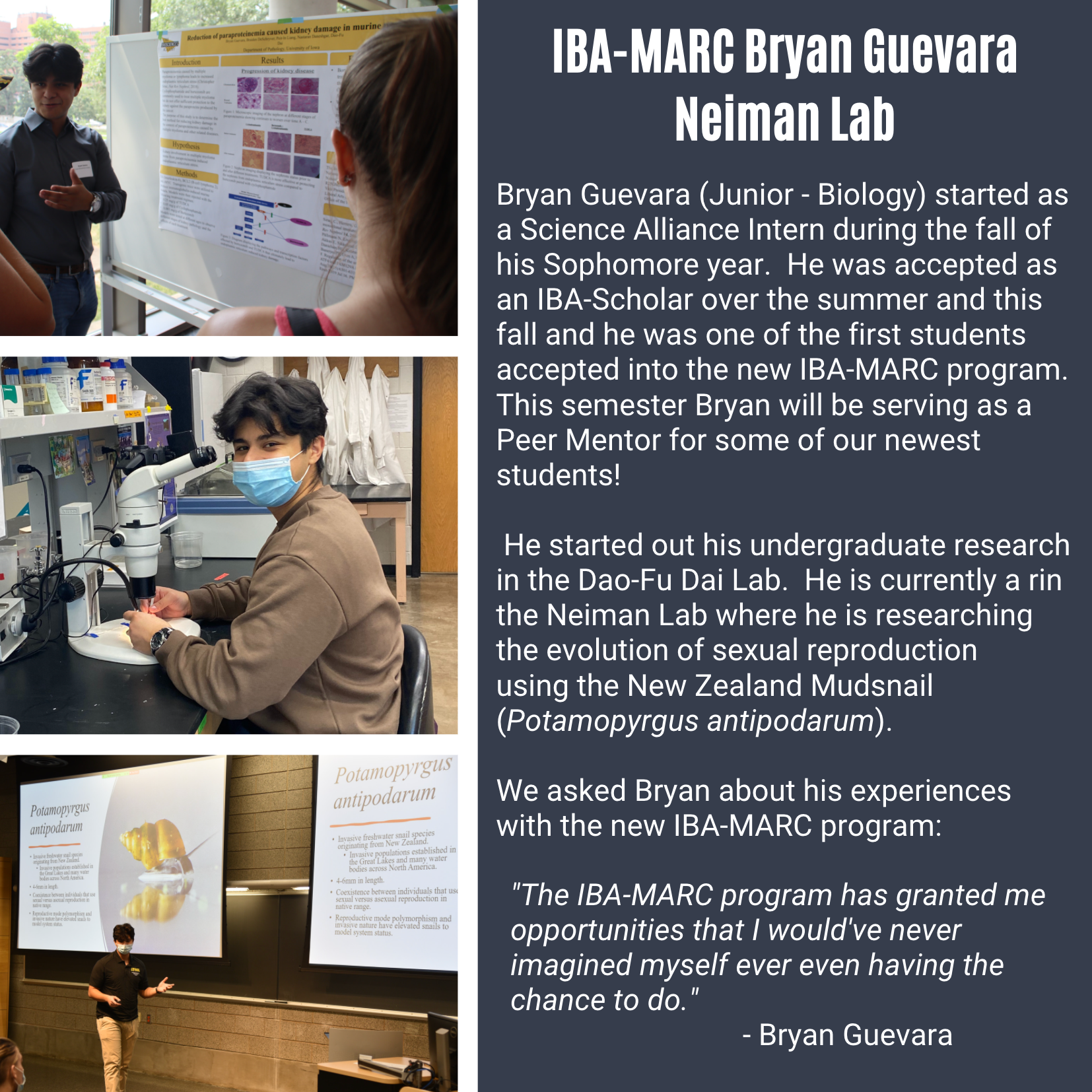 Bryan Guevara's undergraduate research in the Neiman Lab.