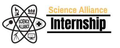 Internship Logo